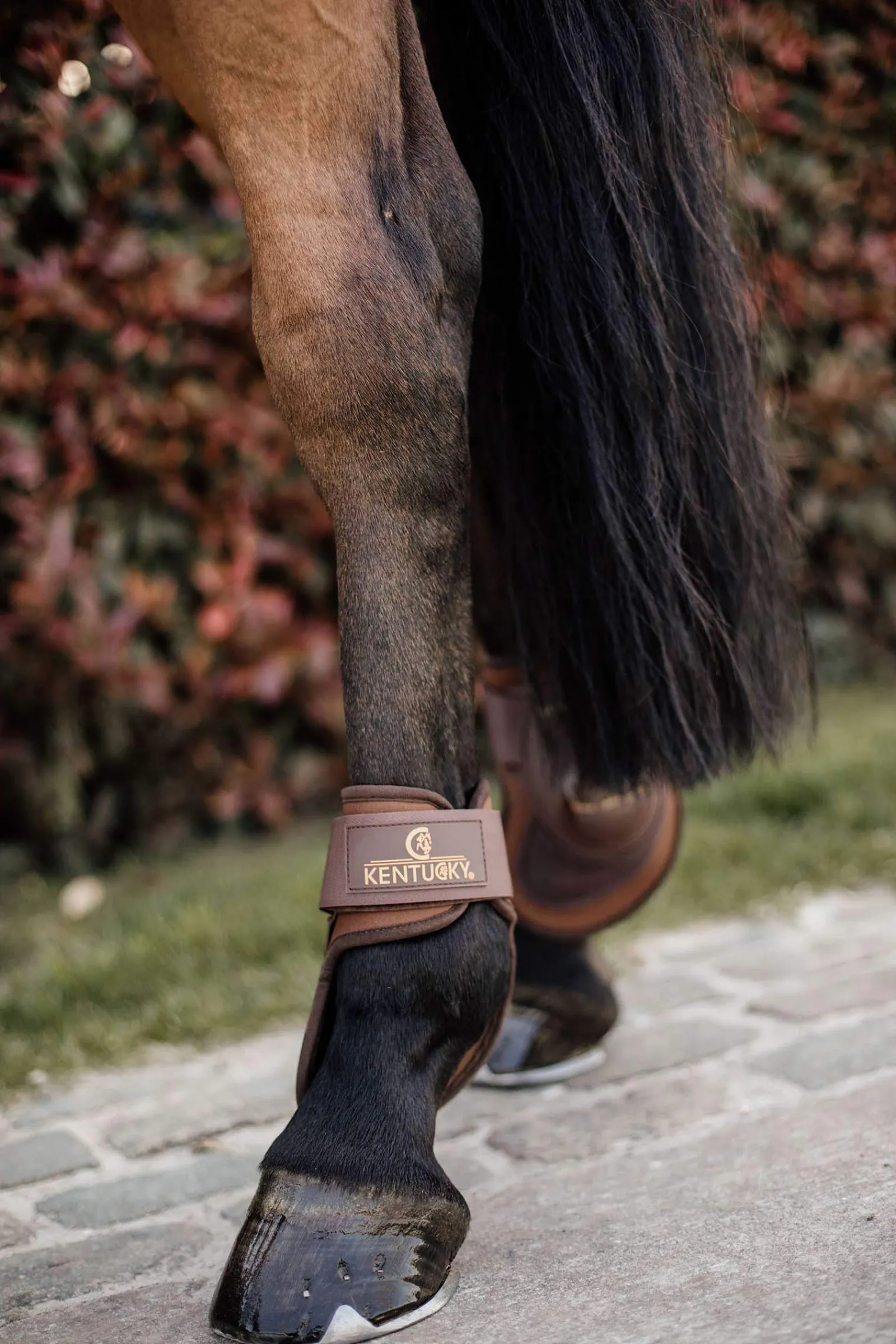 Hot Horsewear Deep Fetlock Boots Fetlock Boots