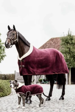 Hot Horsewear Fleece Show Rug Fleece Horse Rugs & Cooler Rugs