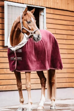 Hot Horsewear Fleece Show Rug Fleece Horse Rugs & Cooler Rugs