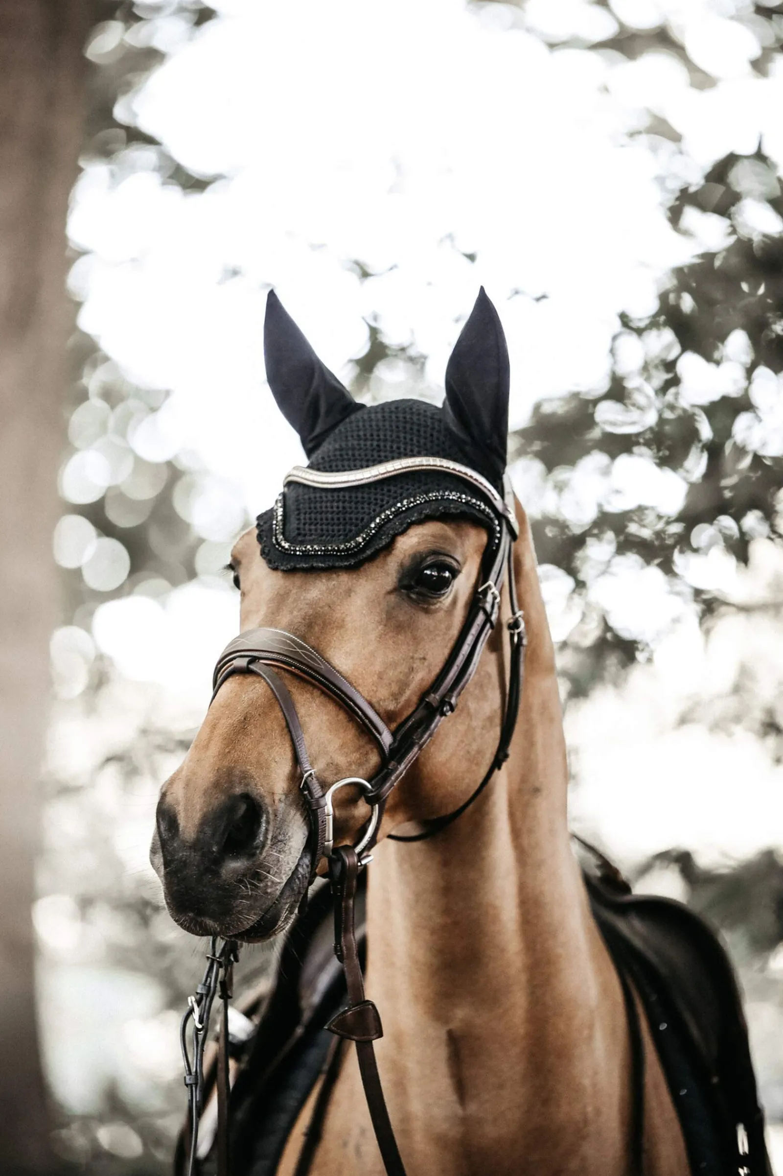 Fashion Horsewear Fly Veil Wellington Stone & Pearl Ear Bonnets & Fly Veils|Ear Bonnets & Fly Veils