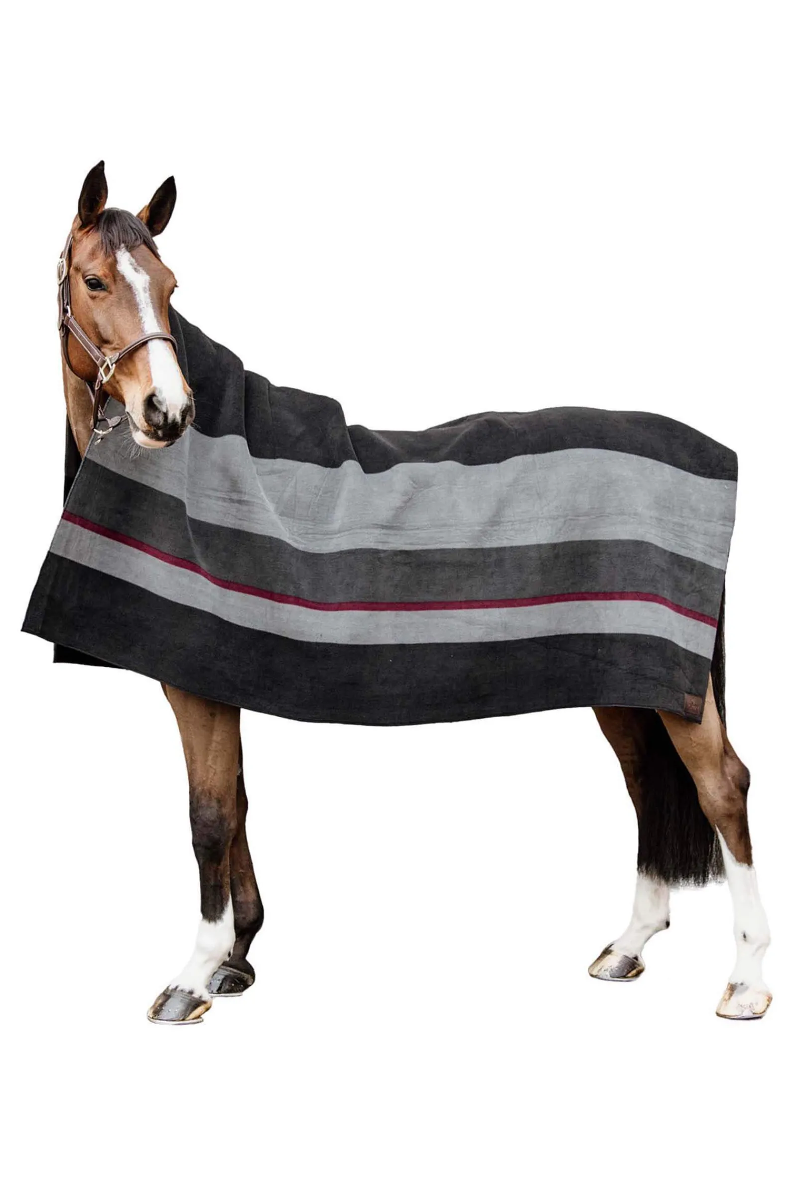 Best Horsewear Heavy Fleece Rug Fleece Horse Rugs & Cooler Rugs