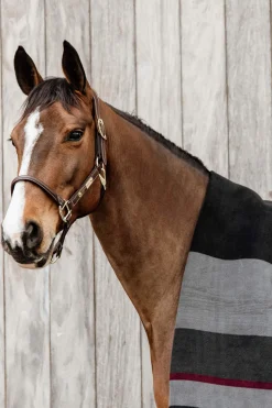 Best Horsewear Heavy Fleece Rug Fleece Horse Rugs & Cooler Rugs