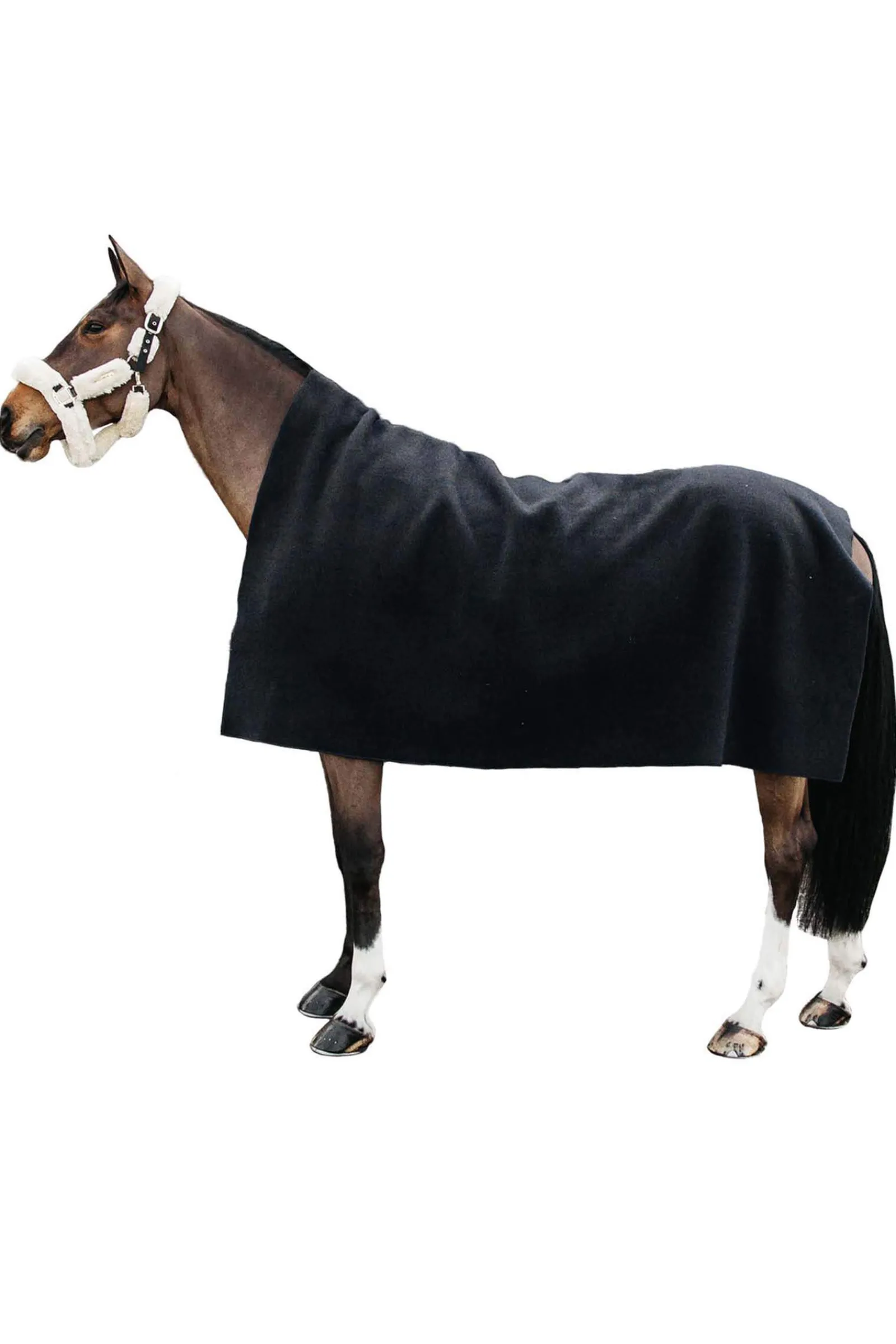 Outlet Horsewear Heavy Fleece Rug Fleece Horse Rugs & Cooler Rugs