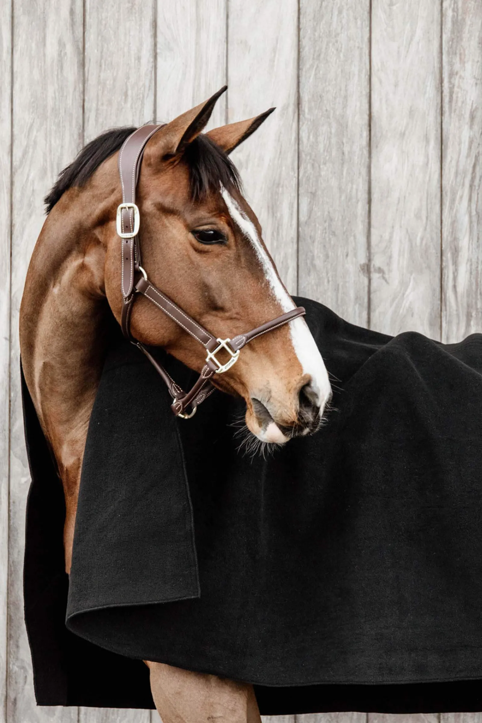 Outlet Horsewear Heavy Fleece Rug Fleece Horse Rugs & Cooler Rugs