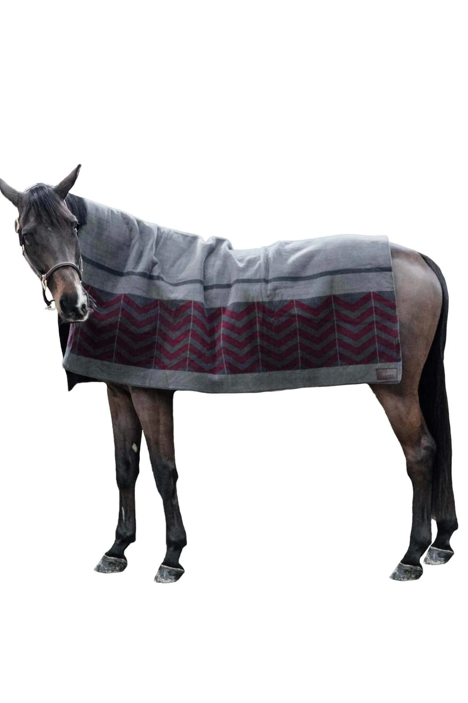 Online Horsewear Heavy Fleece Rug Fleece Horse Rugs & Cooler Rugs