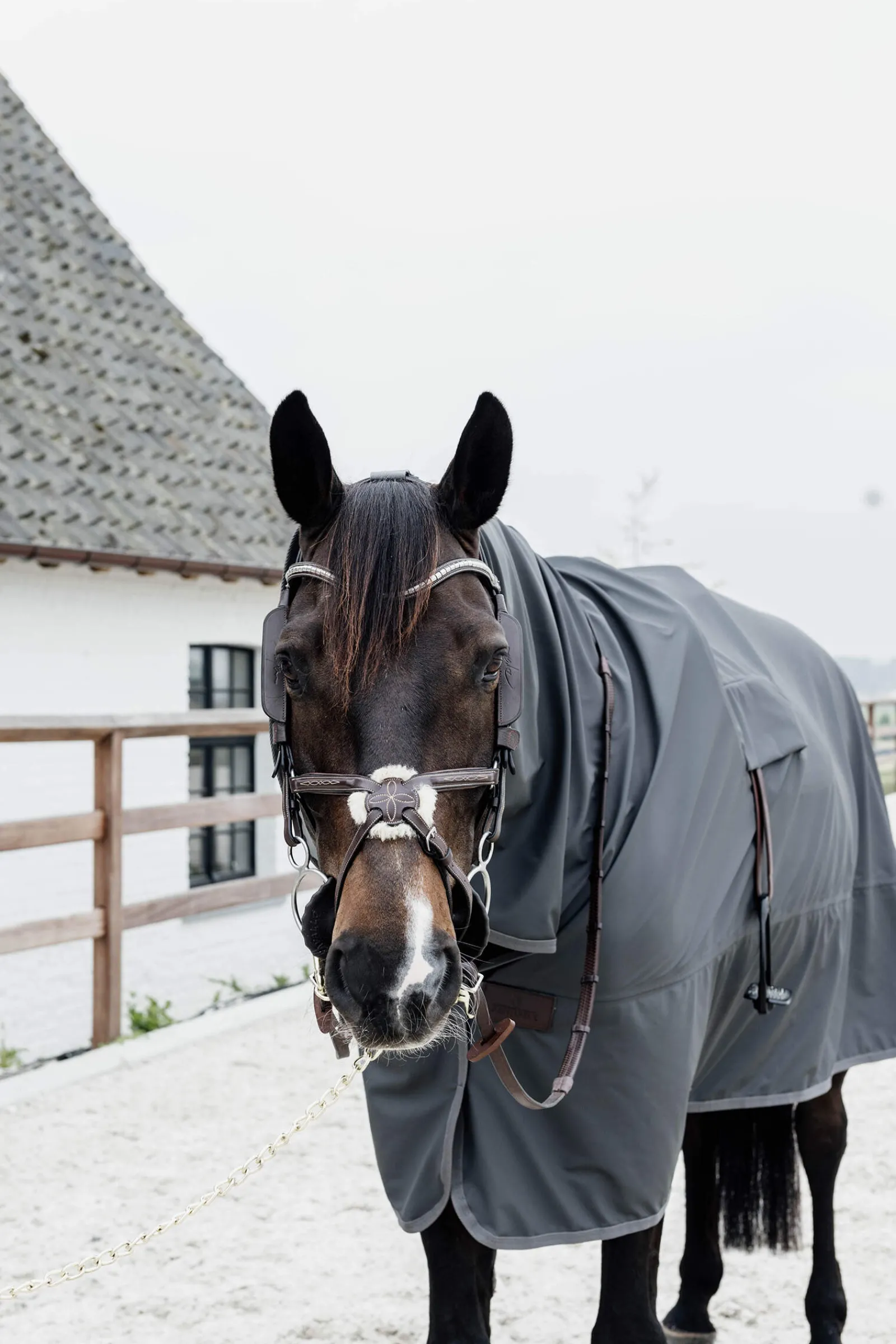 Clearance Horsewear Hurricane Rain Sheet, 0g Exercise Sheets & Quarter Sheets|Lightweight Turnout Rugs