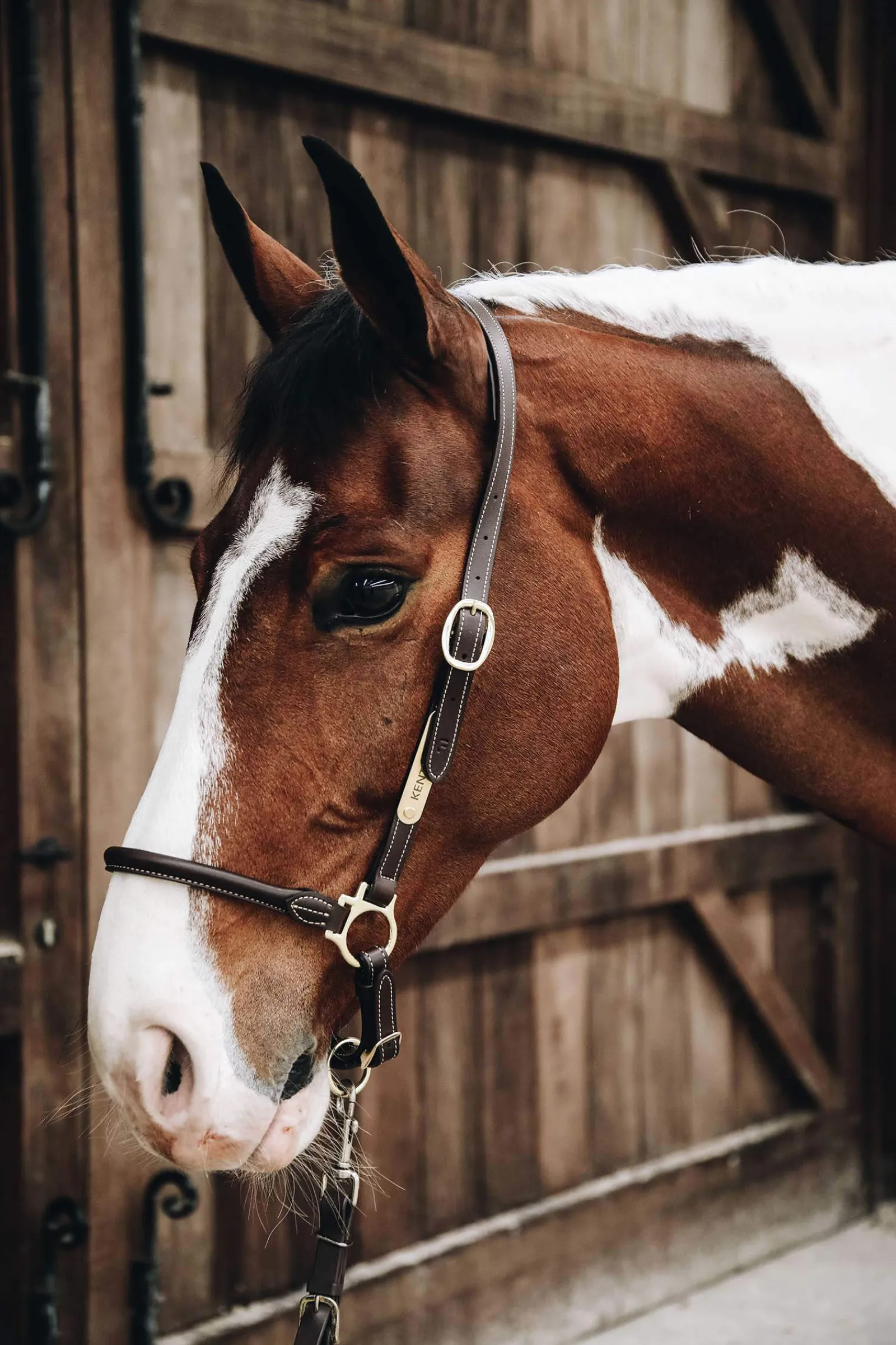 New Horsewear Leather Grooming Halter Leather Headcollars
