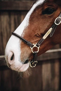 New Horsewear Leather Grooming Halter Leather Headcollars