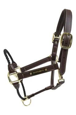 Online Horsewear Leather Rope Halter Leather Headcollars