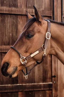 Online Horsewear Leather Rope Halter Leather Headcollars