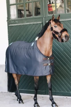 Fashion Horsewear Magnetic Recuptex Magnetic Rug Therapy Rugs