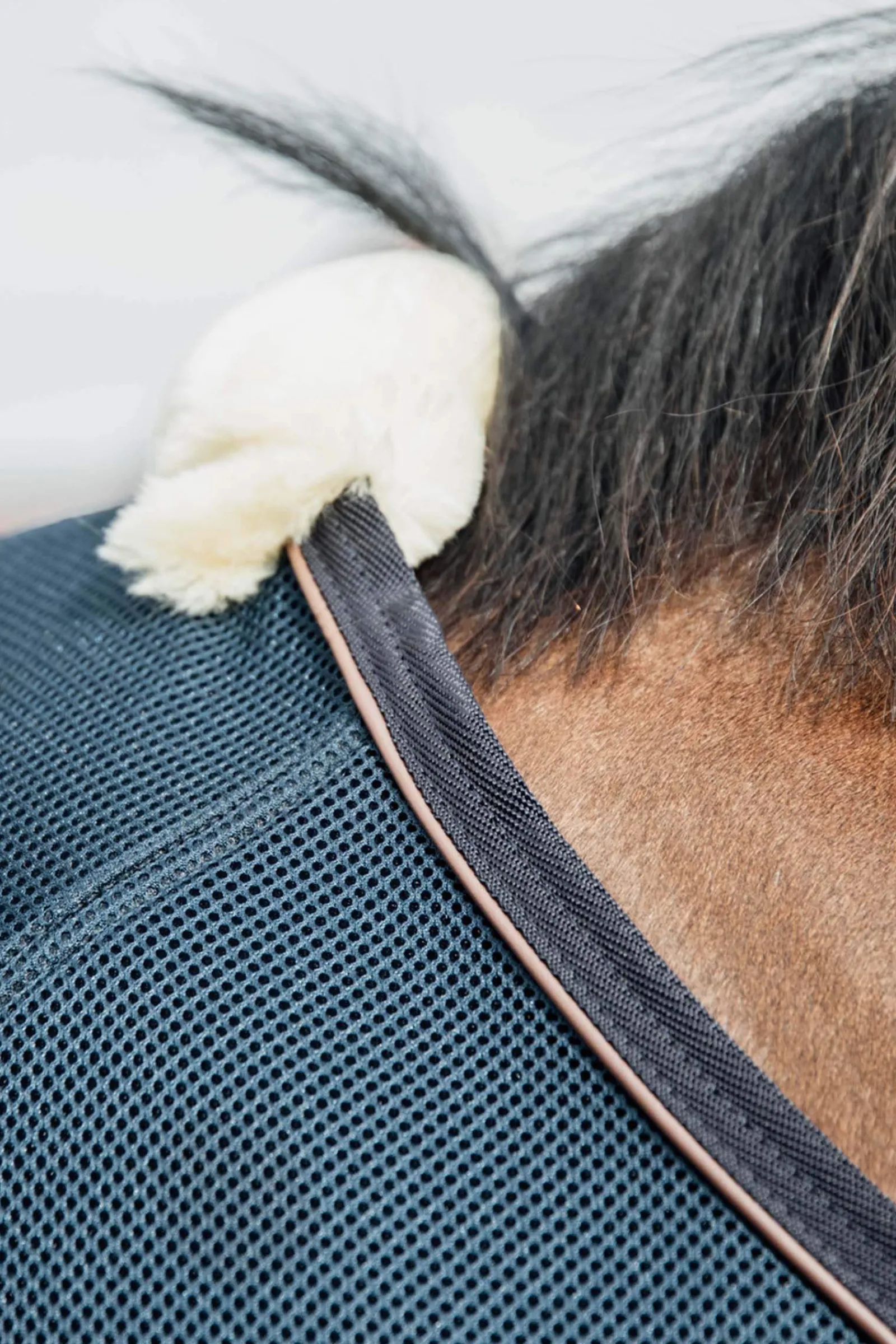 Best Horsewear Mesh Combo Cooler Sheet Fleece Horse Rugs & Cooler Rugs