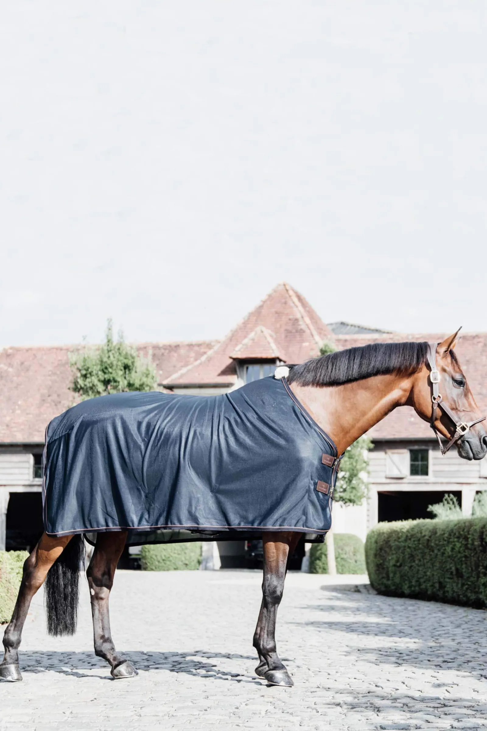 Fashion Horsewear Mesh Fly Sheet Fly Rugs|Fly Rugs