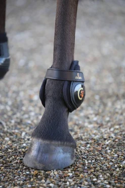 Best Horsewear Moonboots, hind Fetlock Boots