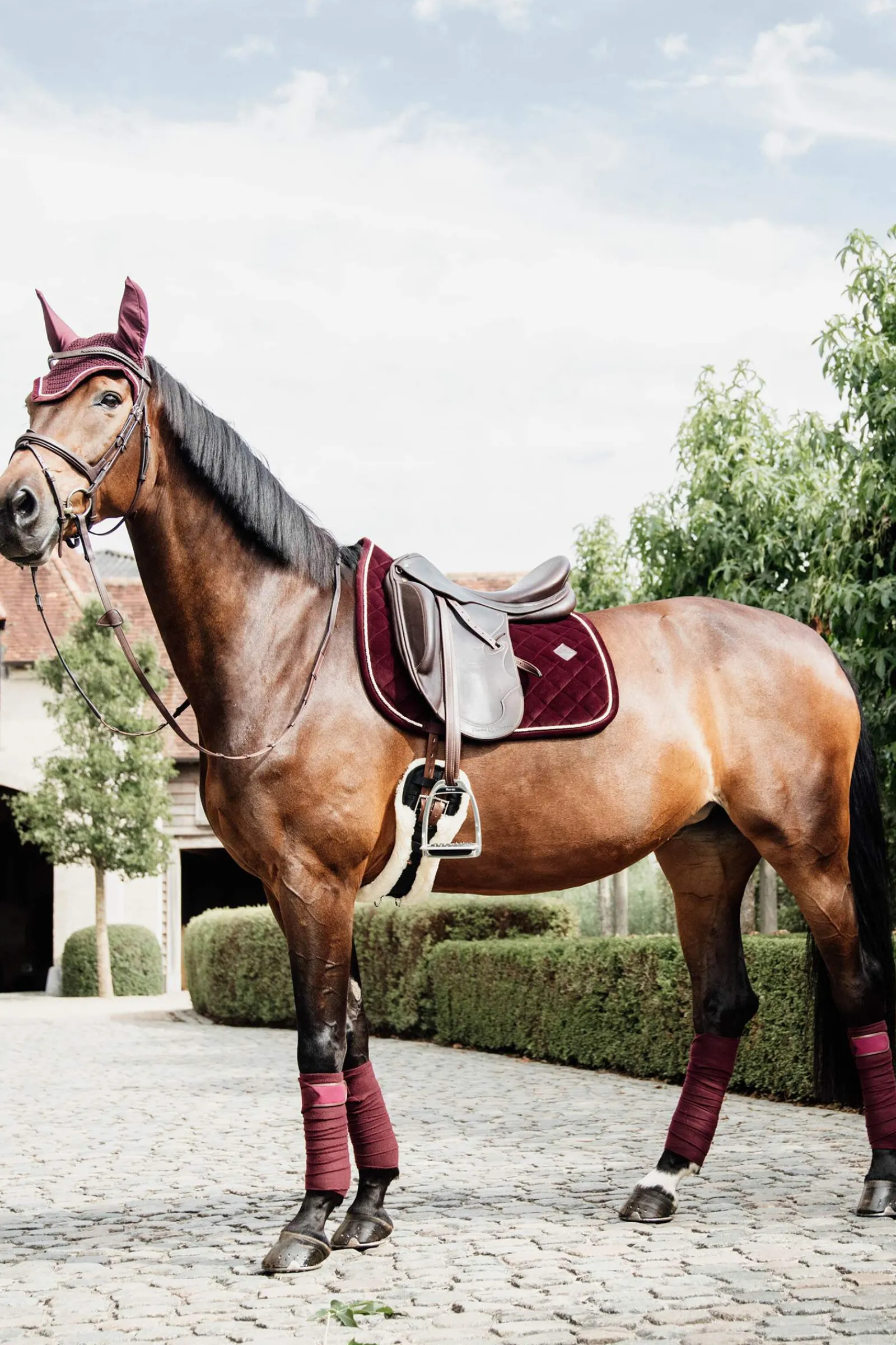 Sale Horsewear Polar Fleece Polos Horse Bandages