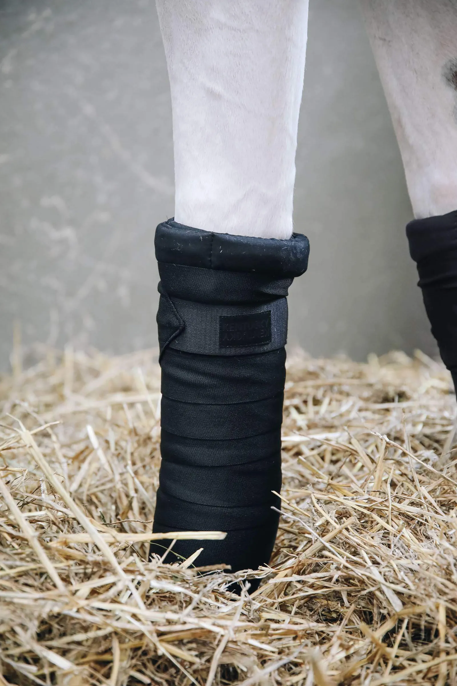 Fashion Horsewear Repellent Bandages Horse Bandages