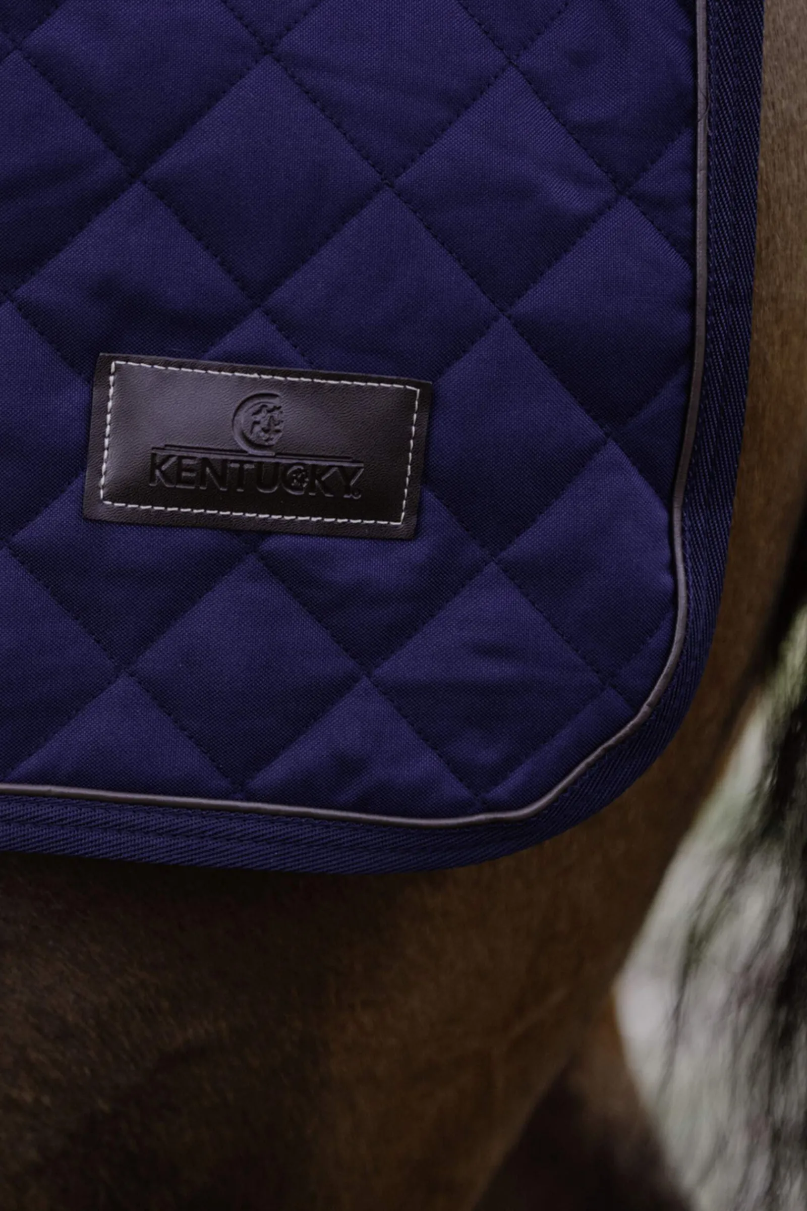Best Horsewear Riding Rug, 160g Exercise Sheets & Quarter Sheets