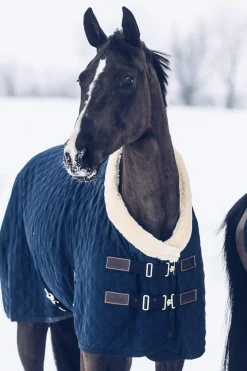 Discount Horsewear Show Rug, 160g Stable Rugs & Liners