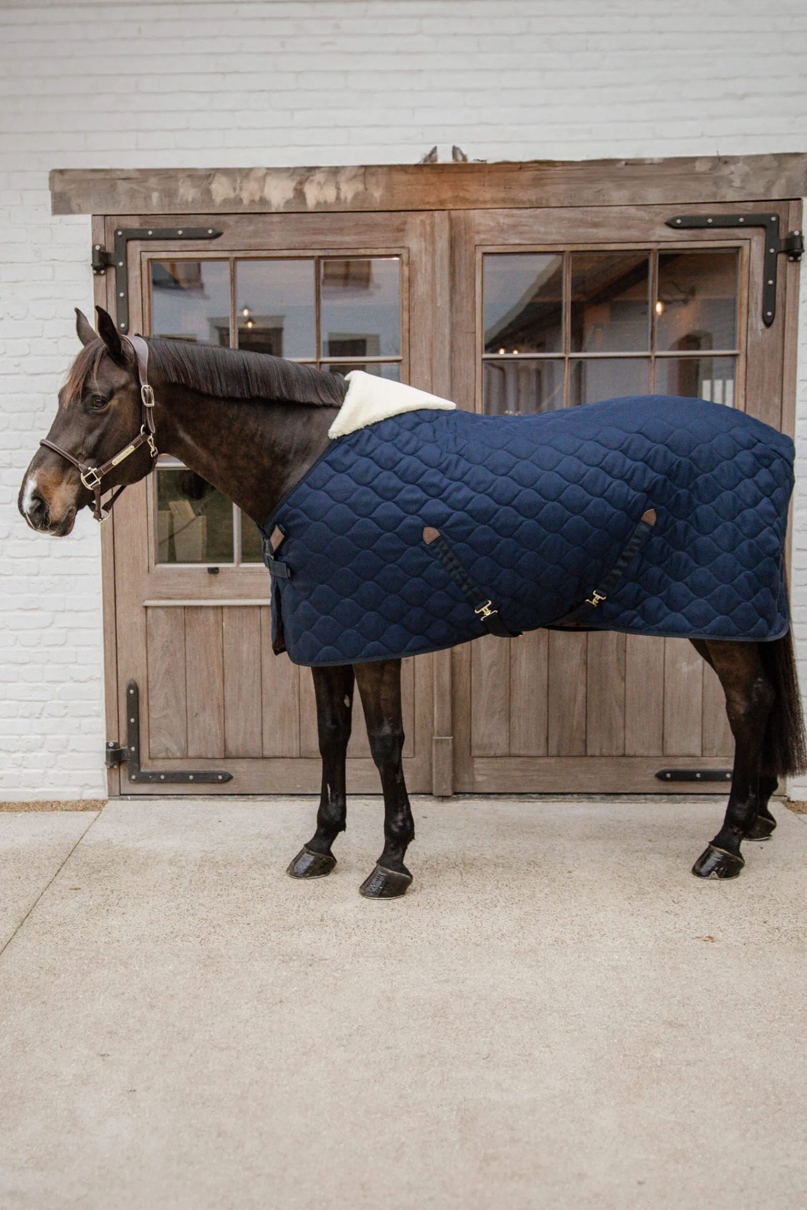 Clearance Horsewear Stable rug comfort 100g Stable Rugs & Liners
