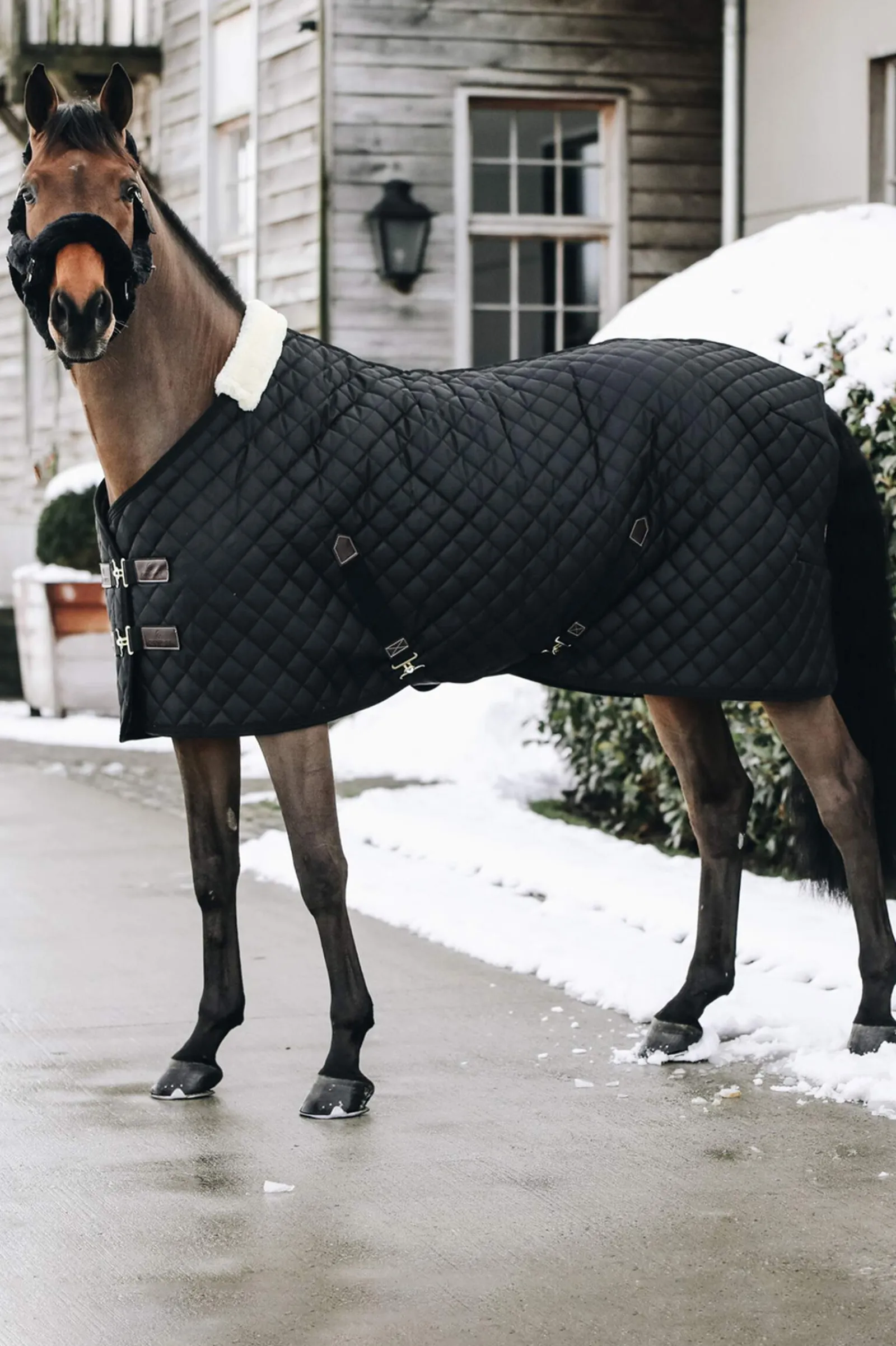 New Horsewear Stable Rug, 400g Stable Rugs & Liners