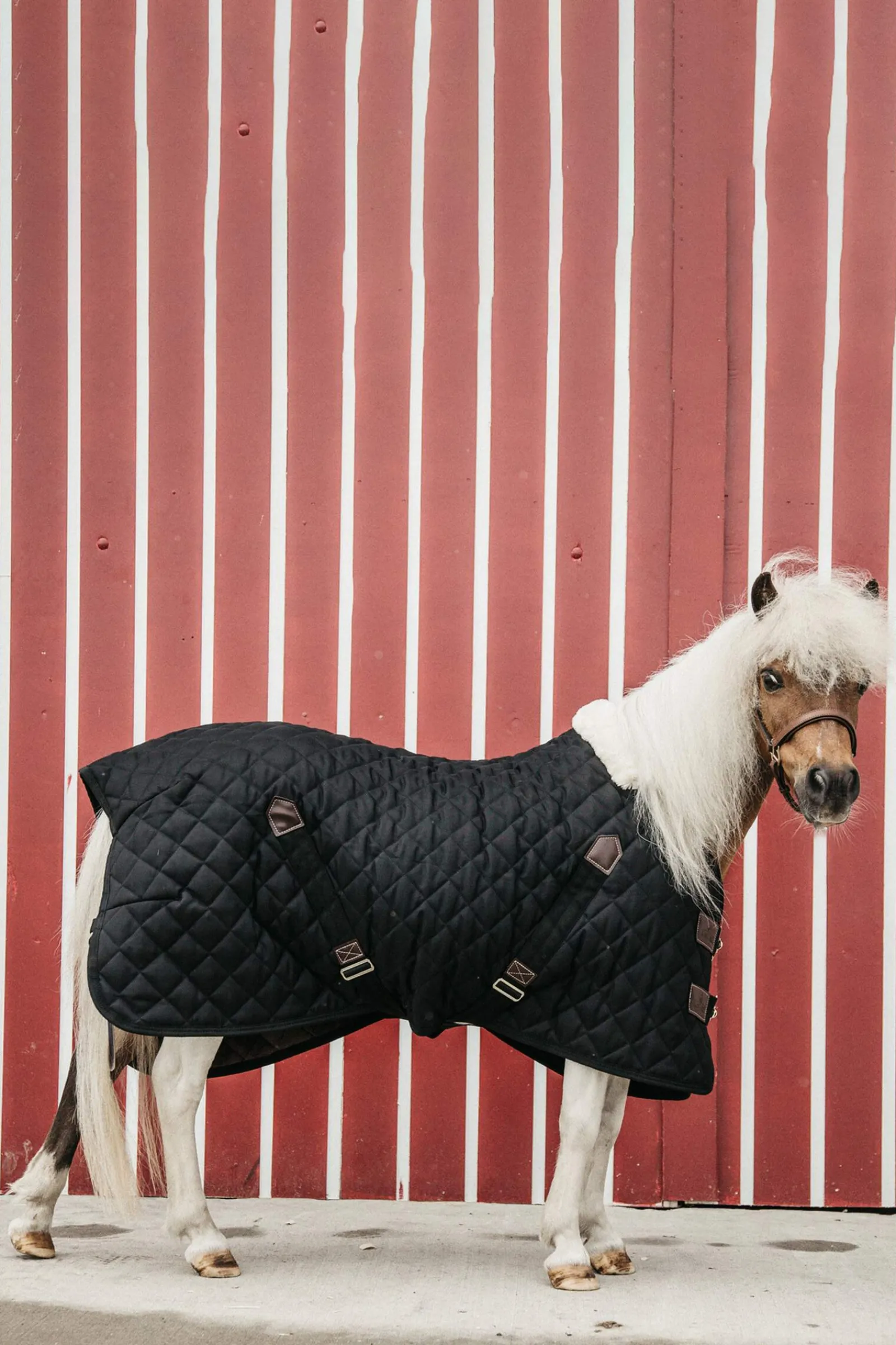 New Horsewear Stable Rug, 400g Stable Rugs & Liners