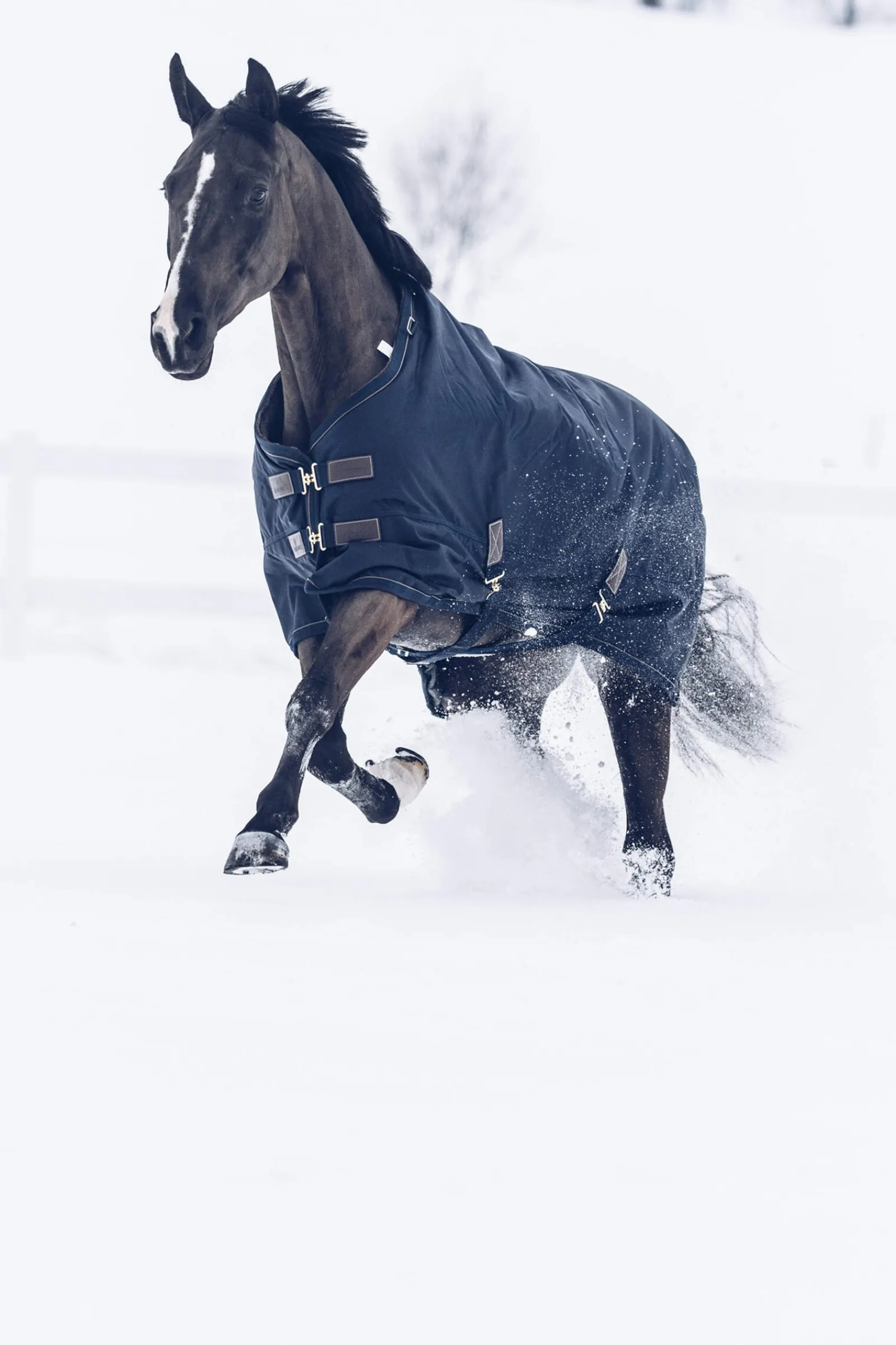 Hot Horsewear Tiny All Weather Turnout Rug, 300g Pony Rugs|Pony Rugs