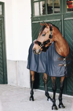 Hot Horsewear Tiny Recuptex Magnetic Rug Therapy Rugs