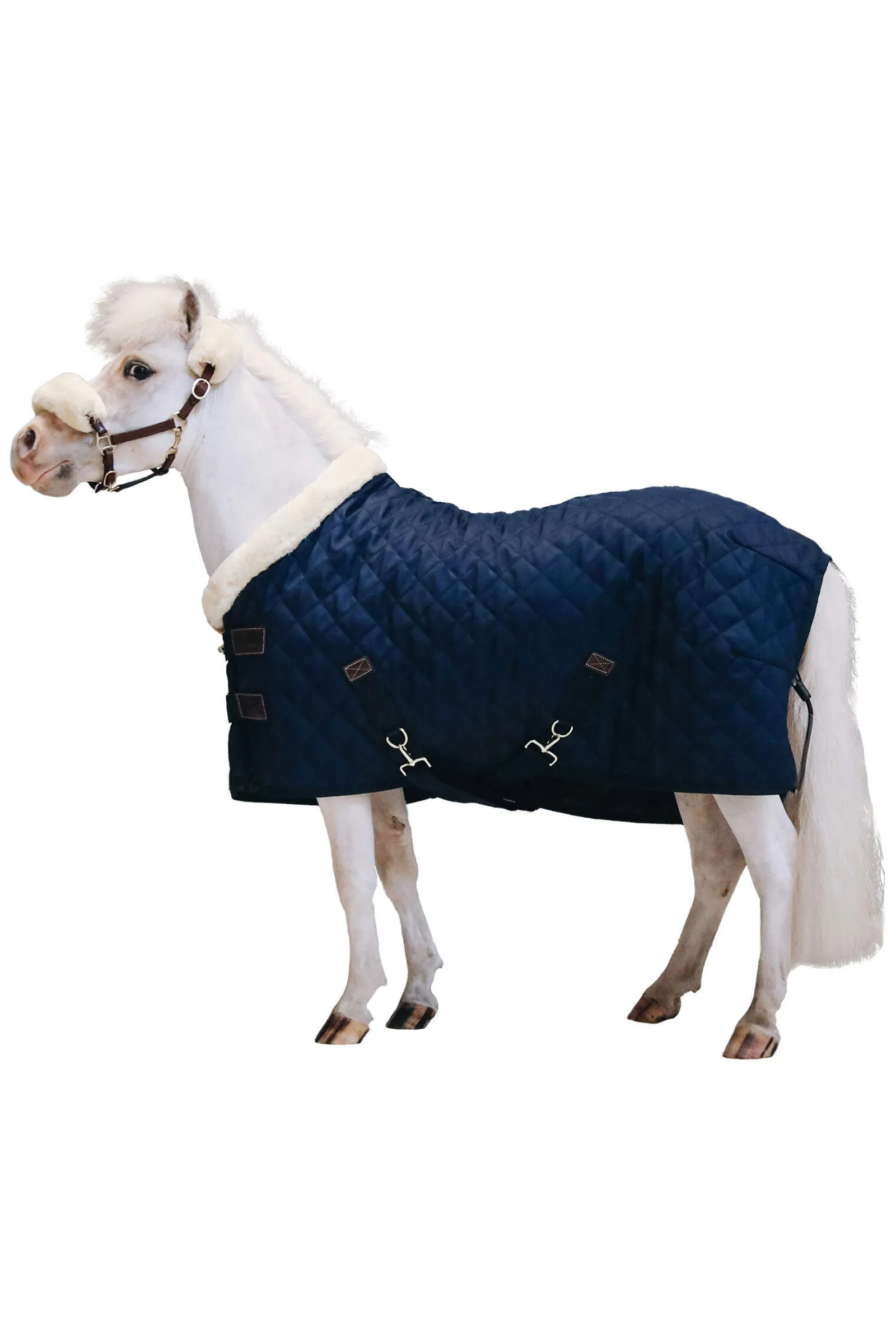Hot Horsewear Tiny Show Rug Stable Rug, 160g Pony Rugs|Pony Rugs