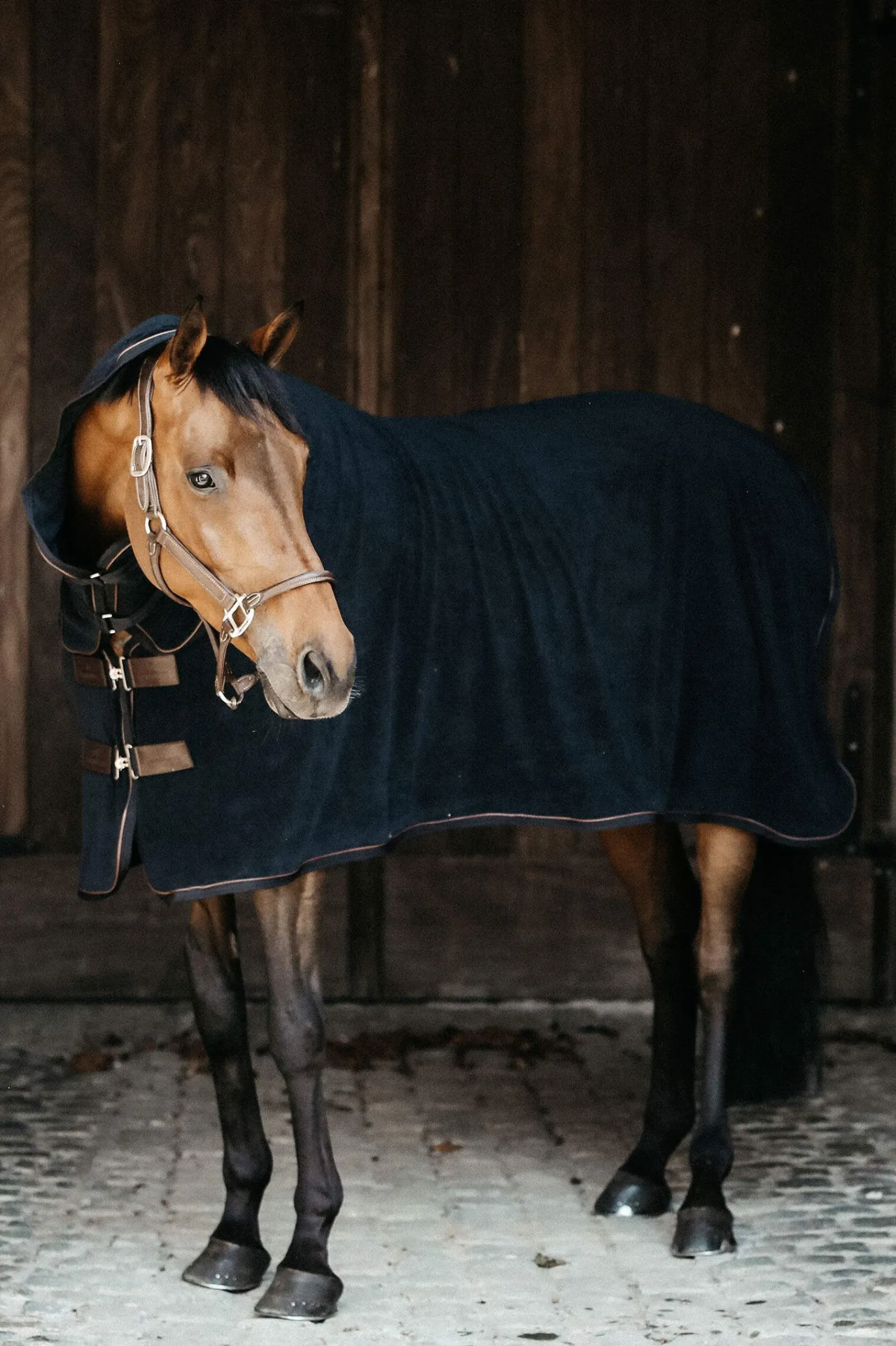 Sale Horsewear Towel Cooler Rug Fleece Horse Rugs & Cooler Rugs