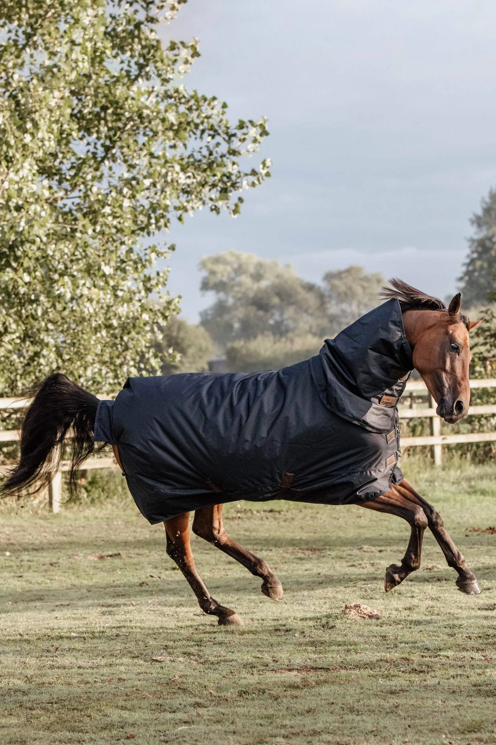 Outlet Horsewear Turnout Rug All Weather Waterproof Classic, 150g Medium & Heavyweight Turnout Rugs