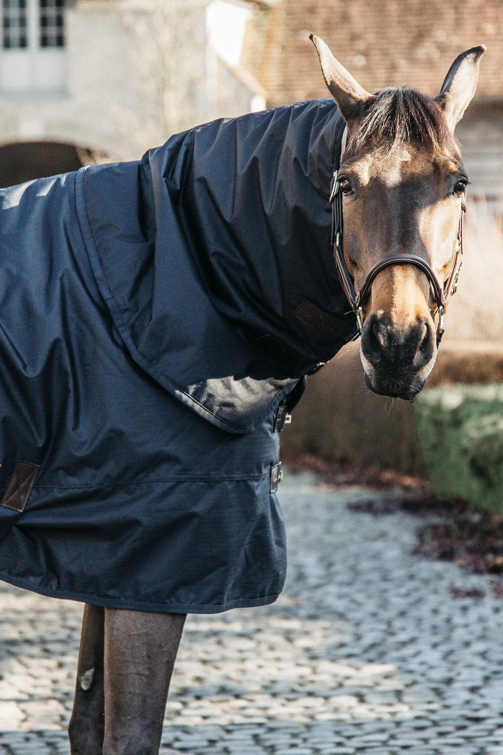 Outlet Horsewear Turnout Rug All Weather Waterproof Classic, 150g Medium & Heavyweight Turnout Rugs