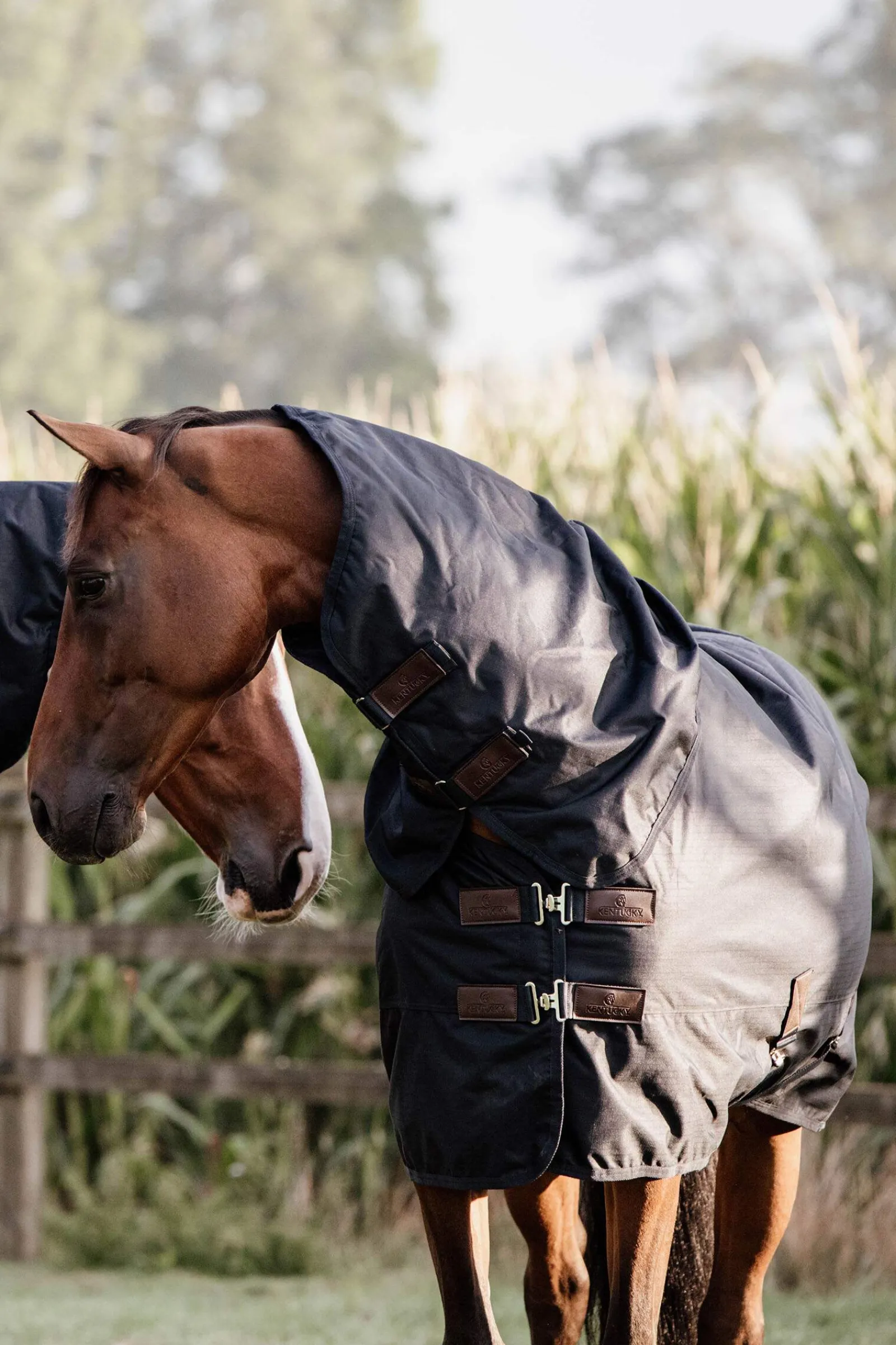 Outlet Horsewear Turnout Rug All Weather Waterproof Classic, 150g Medium & Heavyweight Turnout Rugs