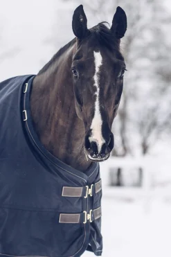Clearance Horsewear Turnout Rug All Weather Waterproof Classic, 300g Medium & Heavyweight Turnout Rugs