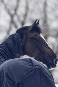 Clearance Horsewear Turnout Rug All Weather Waterproof Classic, 300g Medium & Heavyweight Turnout Rugs