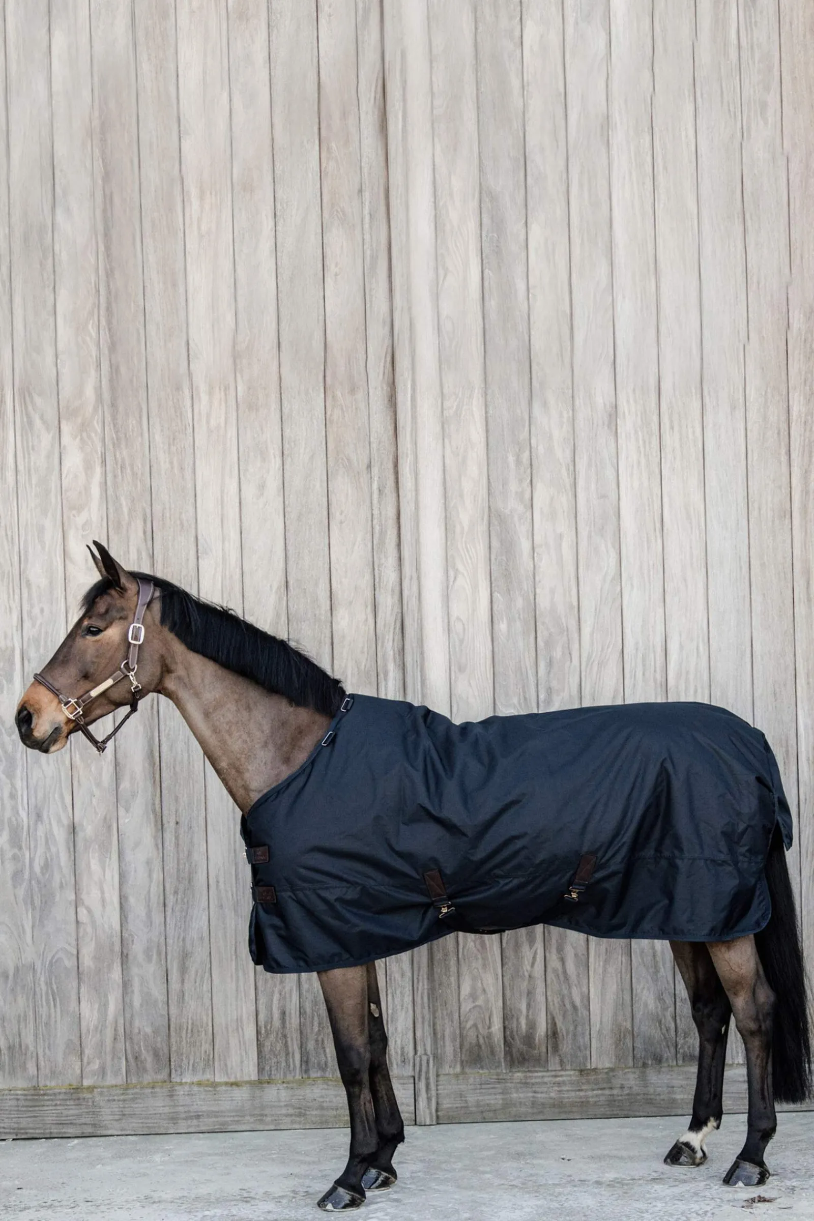 Fashion Horsewear Turnout Rug All Weather Waterproof Classic, 50g Lightweight Turnout Rugs