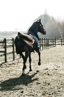 Fashion Horsewear Turnout Rug All Weather Waterproof Classic, 50g Lightweight Turnout Rugs