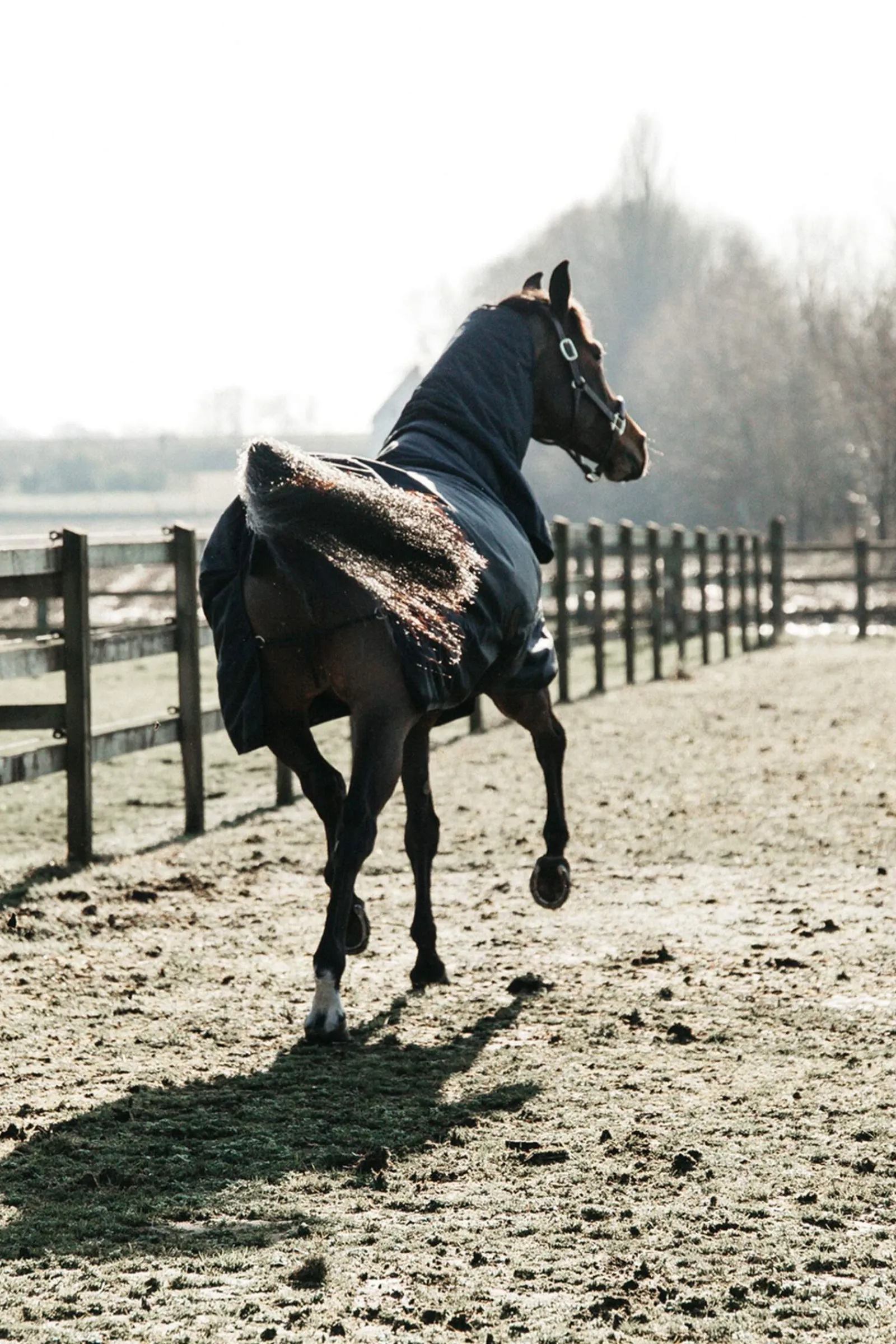 Fashion Horsewear Turnout Rug All Weather Waterproof Classic, 50g Lightweight Turnout Rugs