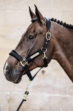 Discount Horsewear Velvet Halter Headcollars & Halters