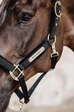 Discount Horsewear Velvet Halter Headcollars & Halters