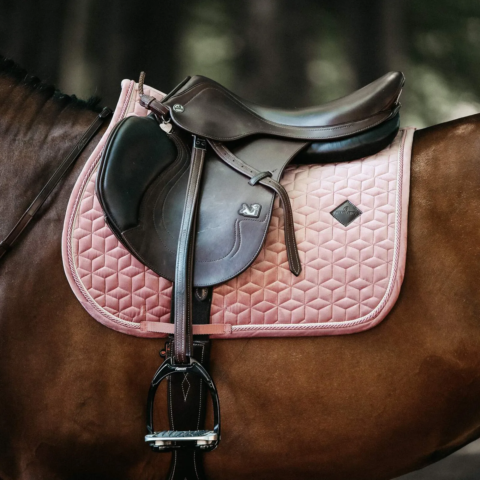Best Horsewear Velvet Jumping Saddle Pad Pony Saddle Pads|All Purpose & Jumping Saddle Pads