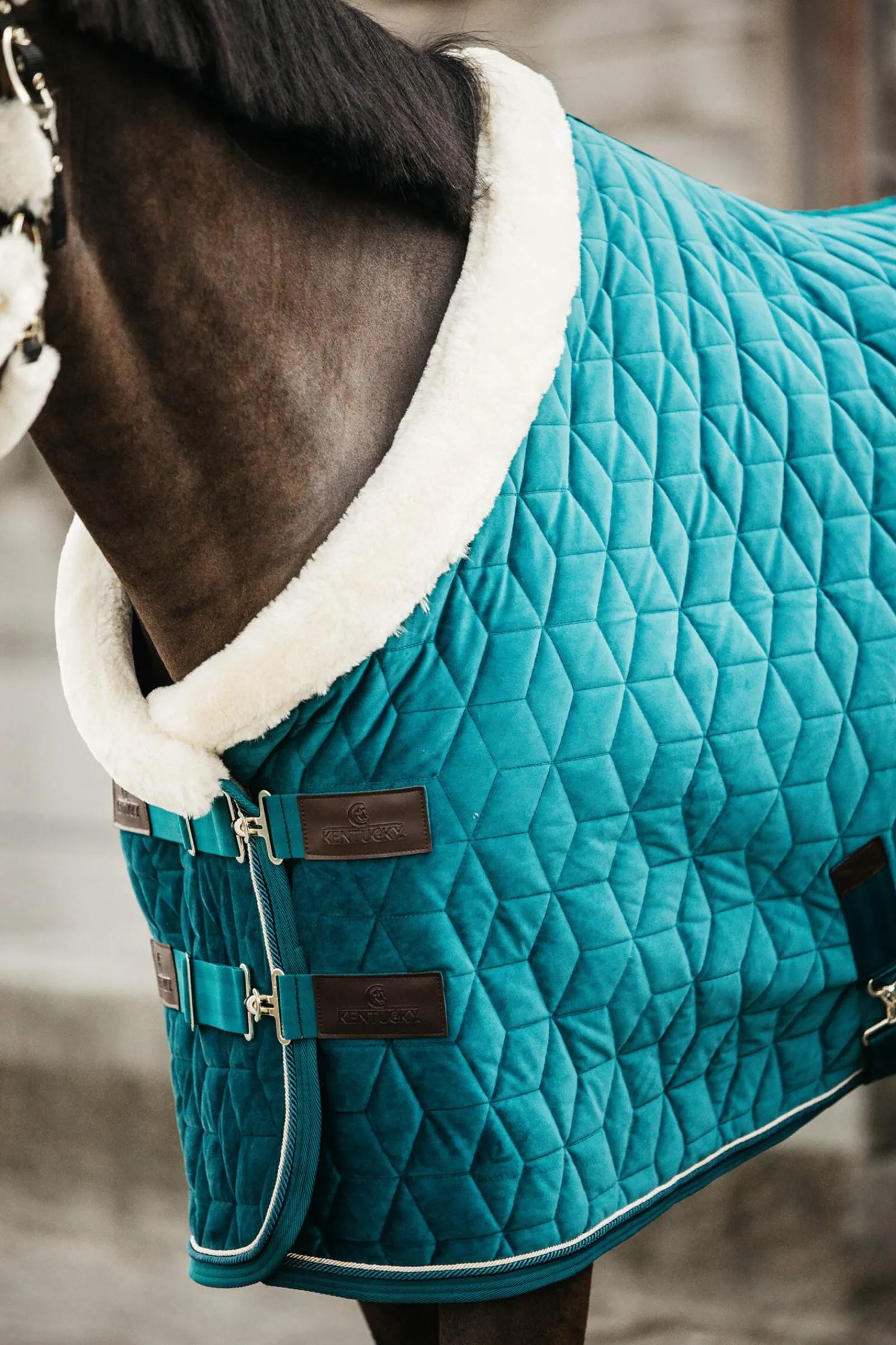 Online Horsewear Velvet Show Rug, 160g Stable Rugs & Liners