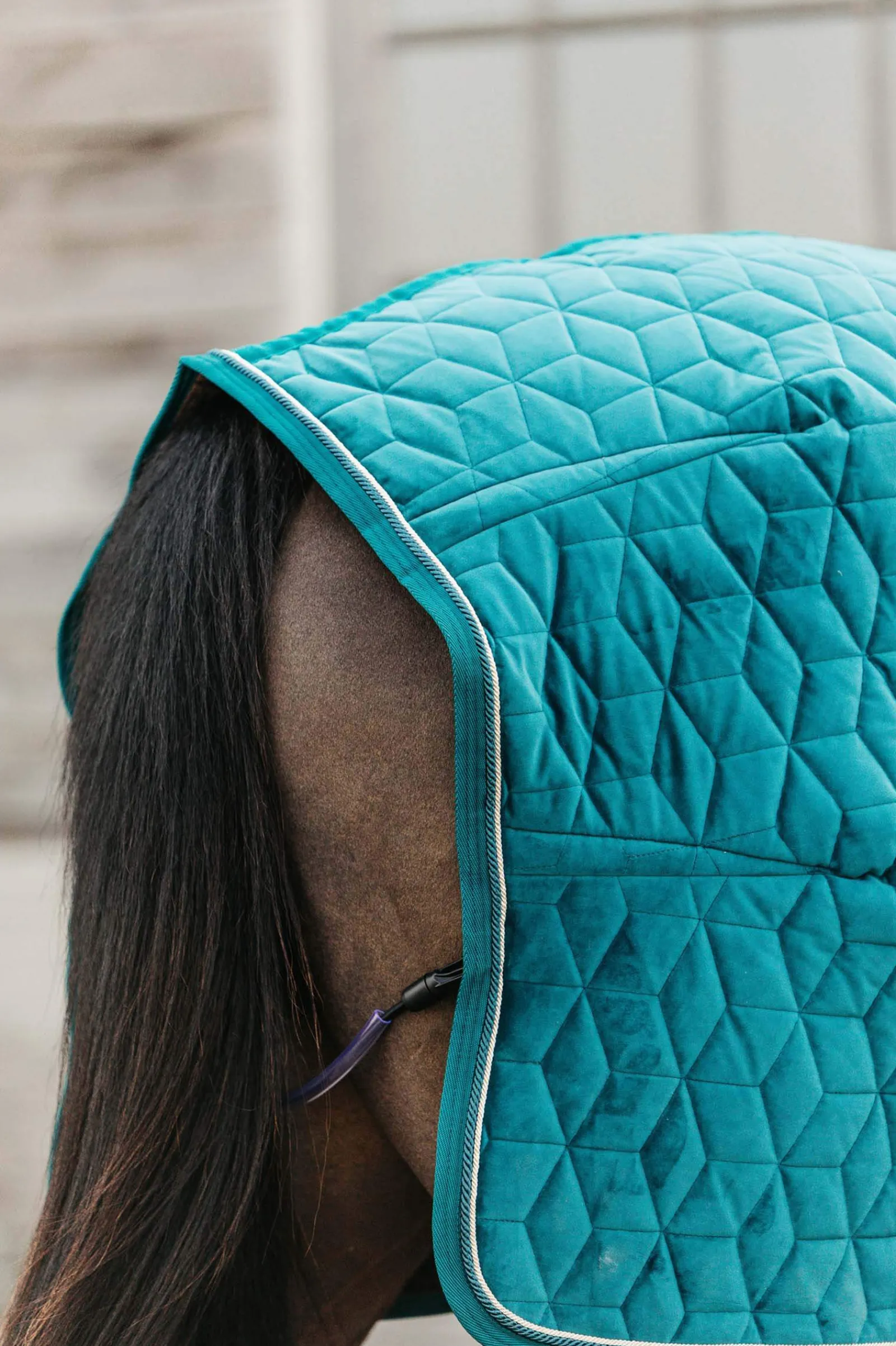 Online Horsewear Velvet Show Rug, 160g Stable Rugs & Liners