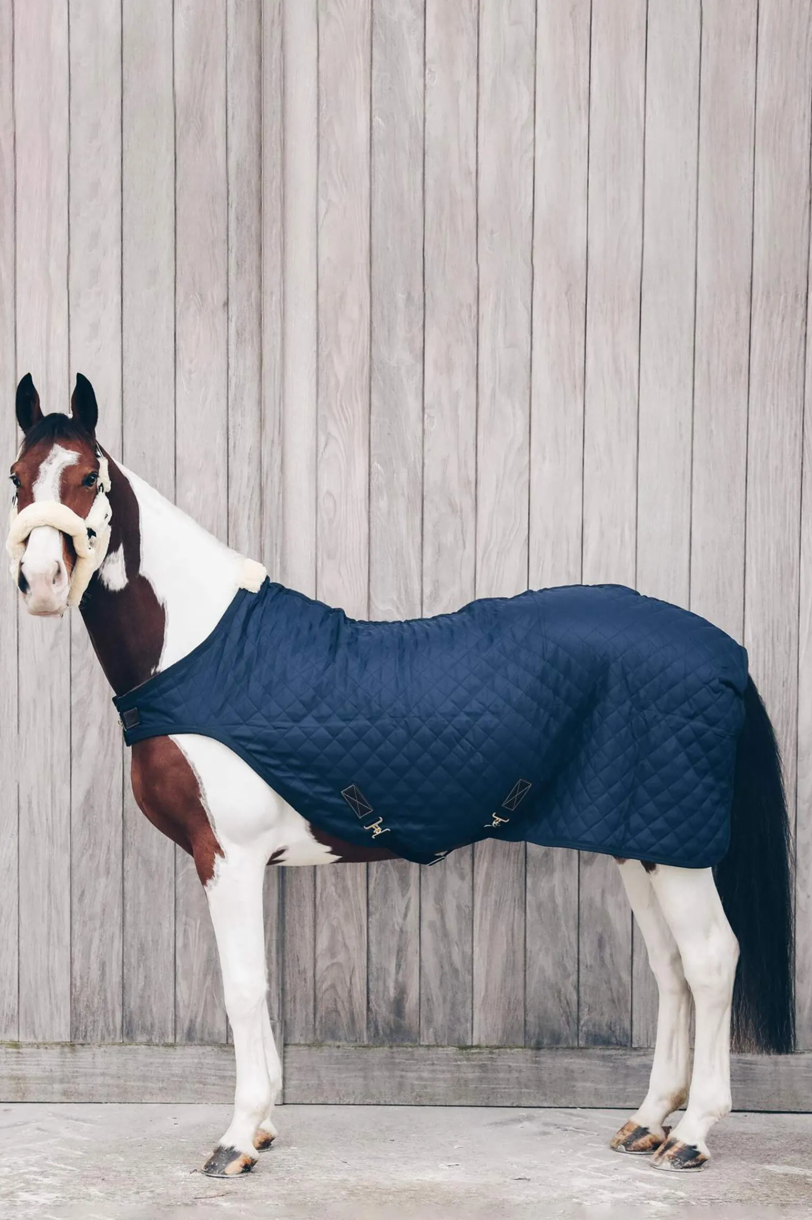 New Horsewear Walker Rug, 160g Walker Rugs