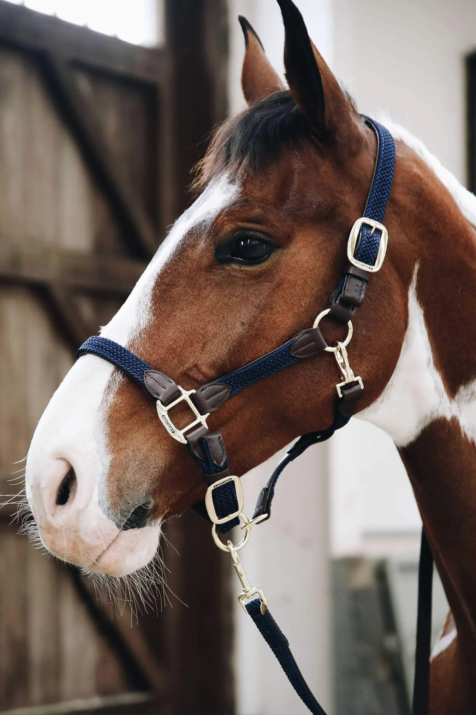 Best Plaited Nylon Halter Headcollars & Halters