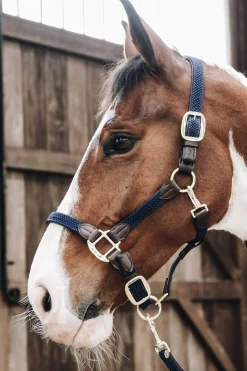 Best Plaited Nylon Halter Headcollars & Halters
