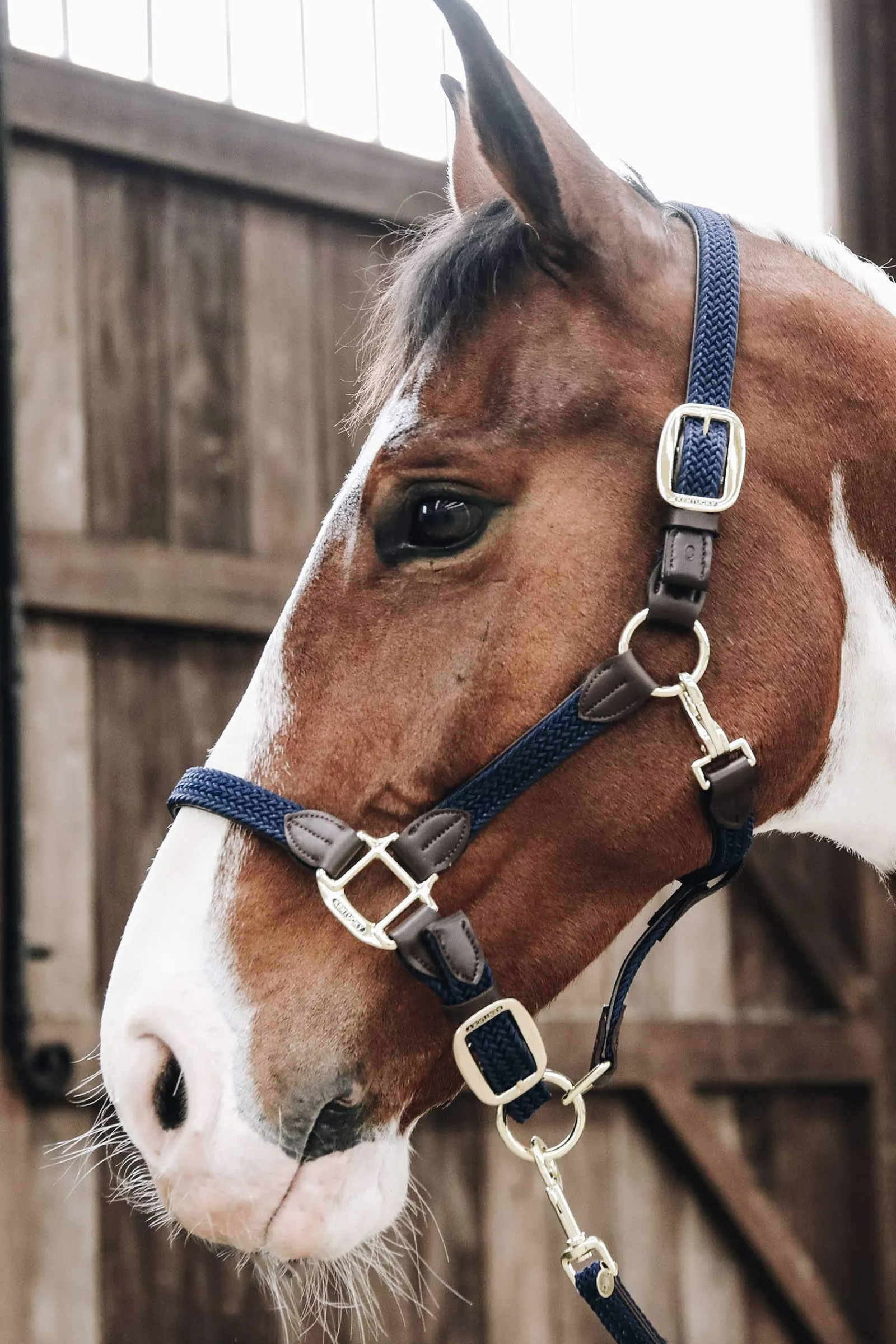 Best Plaited Nylon Halter Headcollars & Halters