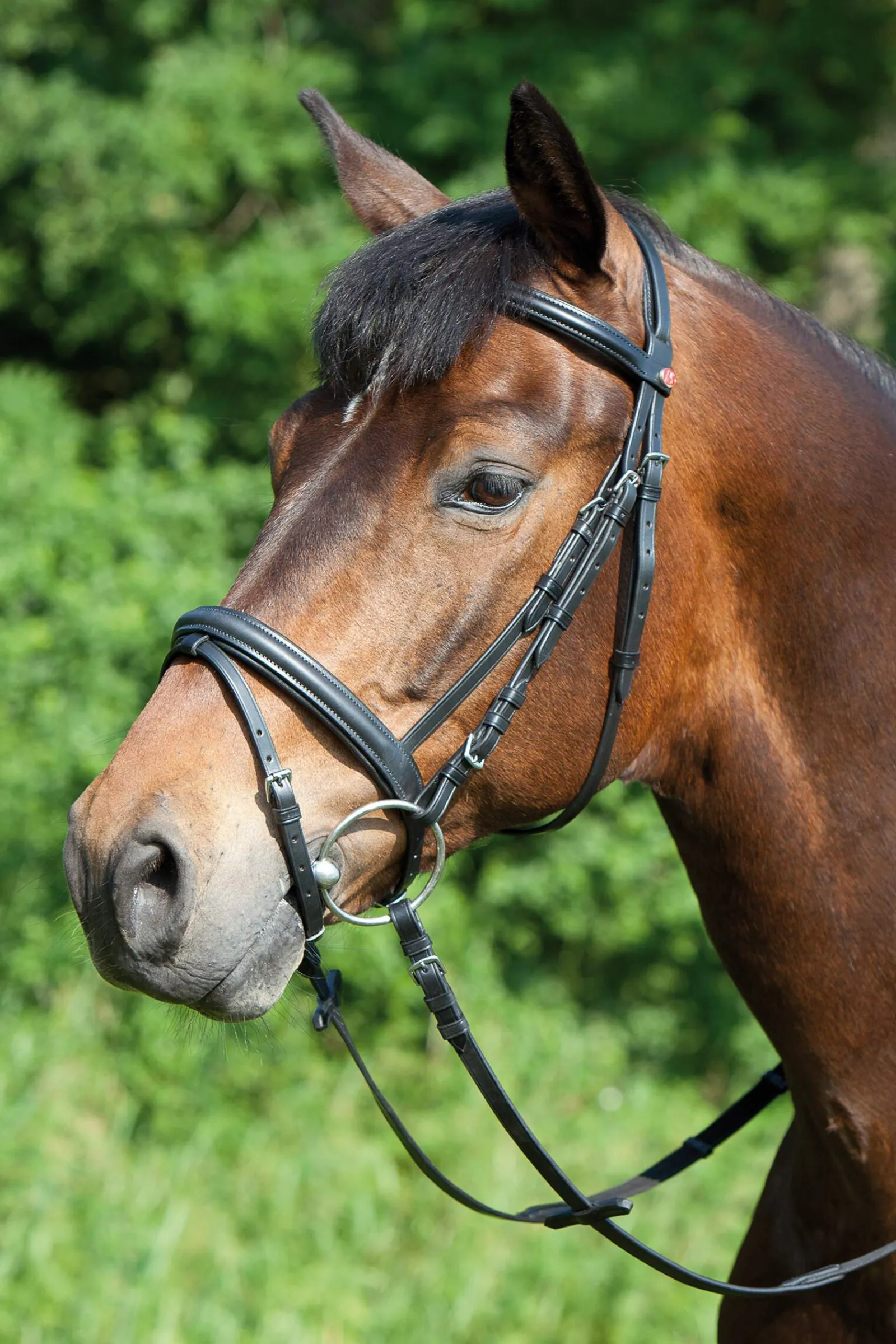 Hot Ergonomic Line Bridle Pony Bridles & Halters|Bridles & Nosebands