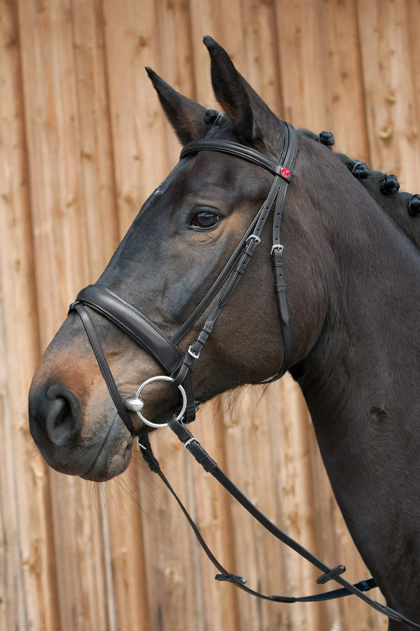 Outlet Ergonomic Line III Bridle Pony Bridles & Halters|Bridles & Nosebands