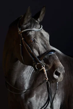 Hot Ultrasoft® Amy Double Bridle Bridles & Nosebands