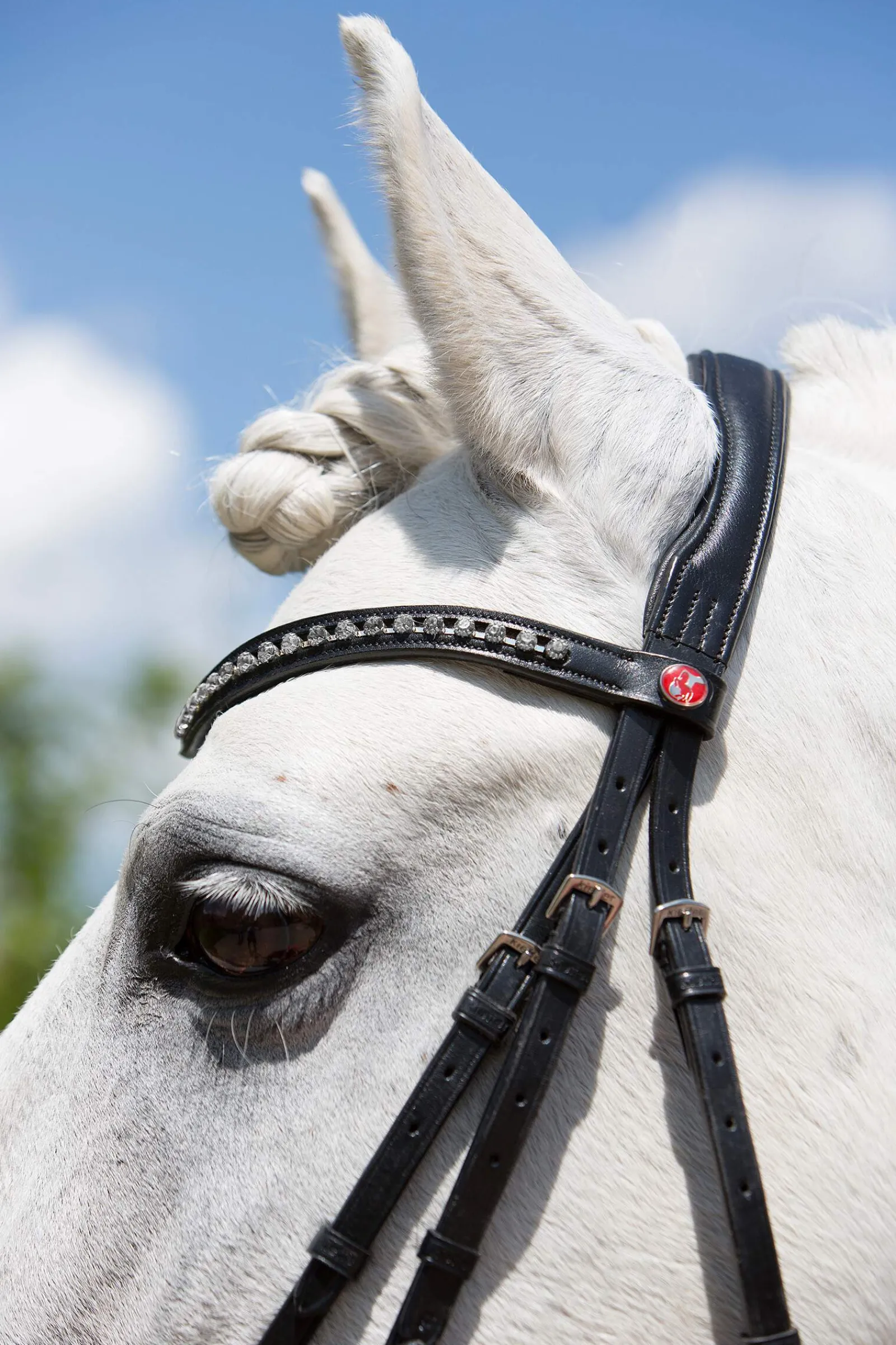 Online Ultrasoft® Fashion Bridle Pony Bridles & Halters|Bridles & Nosebands